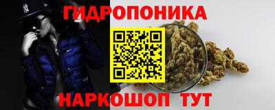 ПСИЛОЦИБИНОВЫЕ ГРИБЫ Шахты