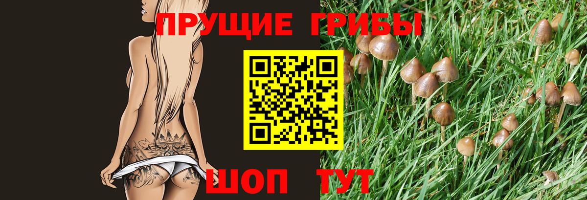 Гурьевск  Псилоцибиновые грибы прущие грибы  Вход с VPN 